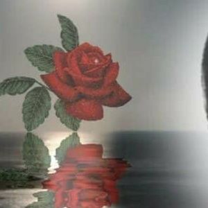 Meet your Posher, Tamara